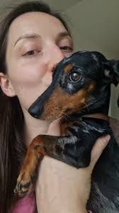 Hi! I'm new to this group. I recently joined because I am considering house  exchange... I live in Southern Ireland!