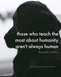 Big Facts Veganfortheanimals Humanity Animallovers Dog Quotes Love Dog Quotes Inspirational Quotes