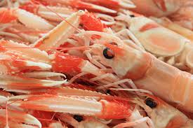 Table salt can be substituted. Sea Food Rockacorp