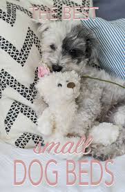 Do you think of your dog as a little princess? Best Small Dog Beds Reviews And Tips For Choosing The Right One