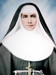 Some really BRILLIANT BLUEJAY BEARS 🐦🐻!!! Honored at @chs_br : National  Latin Exam Cum Laude