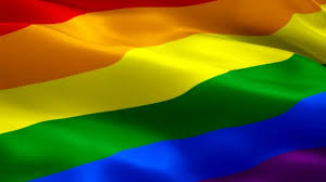 Some of the many gender identity, sexuality, expression and role flags flown with pride by their respective lgbtiqap+ communities. Homosexuell Flagge Lgbt Wehen Wind Video Full Realistischer Hintergrund Der Stock Footage Videos C Borkus 456040314 Depositphotos