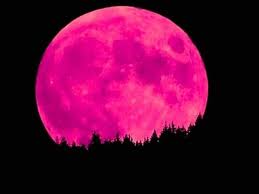 The moon will officially become full at 11:32 p.m. Need A Distraction From Covid 19 Catch The Super Pink Moon In Uae Science Gulf News