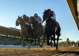 Results for two more rounds of testing will be released by 3 p.m. Kentucky Derby Pedigree Profile Medina Spirit The Twinspires Edge