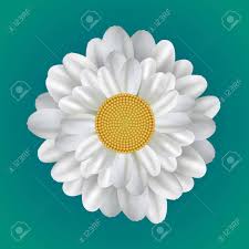 Ilustración Realista De Una Margarita. Elemento De Vector Para Su  Creatividad Ilustraciones svg, vectoriales, clip art vectorizado libre de  derechos. Image 74102405