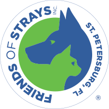A wide variety of hot filling pet preforms options are available to you, you can also choose from accept, hot. Affordable Services Friends Of Strays Cat And Dog Adoption In St Petersburg Fl
