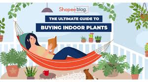 Maybe you would like to learn more about one of these? The Ultimate Guide To Buying Indoor Plants For Your Home