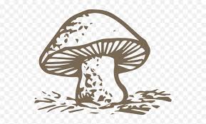 Cartoon fresh brown mushroom character fresh brown porcini mushroom cartoon character with fleshy broad cap and funny smiling face, isolated on white mushroom cartoon stock illustrations. Free Online Mushrooms Fungi Food Cartoon Vector For Fungi Cartoon Png Fungi Png Free Transparent Png Images Pngaaa Com