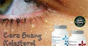 Pada umumnya, kadar kolesterol total yang normal bagi orang dewasa tidak lebih dari 200 mg/dl. Cara Hilangkan Biji Kolesterol Di Bawah Mata Shidarahmat