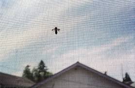 What's on this page different types of pest control costs tips on how to create an accurate estimate pest control costs also depend on the type of infestation you have on your property, the. Five Easy Pest Control Tips To Help Prevent Pests In Your Home