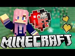 Having animals there, your world will become more lively and dynamic. 5 Best Minecraft Videos By Ldshadowlady