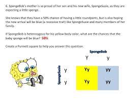 (b) how many of the plants would have red flowers? Genetics With Spongebob Learning How To Use Punnett Squares Middle School Science Blog