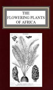 Image result for Coleotrype laurentii