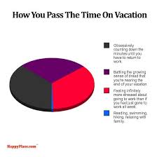 spring break funny pie charts funny charts pie charts