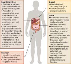 If you are diagnosed with stomach cancer, your doctor will discuss the best options to treat it. The Microbiome Cancer And Cancer Therapy Nature Medicine