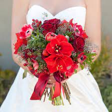 Custom made wedding flowers to match davids bridal colors. Bouquet Blueprint Crimson Christmas Wedding Bouquet