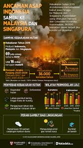Kebakaran Hutan Di Indonesia Berpotensi Memicu Kematian Di Tiga Negara Industri Katadata Co Id