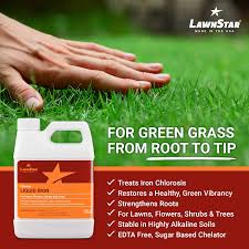 Check spelling or type a new query. Buy Lawnstar Chelated Liquid Iron 32 Oz For Plants Multi Purpose Suitable For Lawn Flowers Shrubs Trees Treats Iron Deficiency Root Damage Color Distortion Edta Free American Made Online In