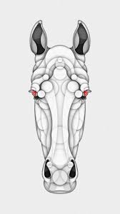 Animal Geometry Illustrations By Bruno Silva Inspiration Grid Design Inspiration Illustration Illustration Geometry Art Design Illustration Geometry Art