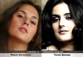 Тулип джоли на Likeness.ru / Лучшие сходства в начале