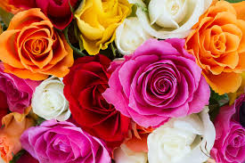 Maybe you would like to learn more about one of these? Do Plants Have Sexes Britannica