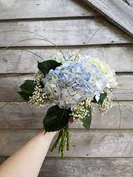 Check spelling or type a new query. Blue Hydrangea With Baby S Breath And Beach Grass Wedding Bouquet Hydrangea Bouquet Wedding Blue Hydrangea Bouquet Hydrangeas Wedding
