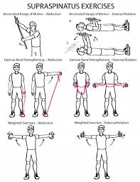 Supraspinatus Exercises Mobilityexercises Physical Therapy Exercises Shoulder Rehab Exercises Rotator Cuff Exercises
