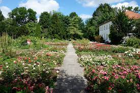 Rosengarten | rose garden bern | rose garden switzerland | beautiful rose garden | beautiful roses | rosengarten bernthe rose garden is one of the most beau. Munchner Oasen Der Rosengarten Berghuhns Webseite