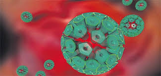 Around 79 million americans currently have hpv, according to the centers for. Hpv Positive Haben Spezielle Erstsymptome