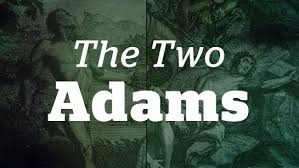 The Two Adams: Contrasted