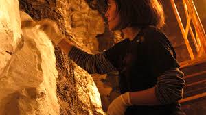 at the Natural History Museum