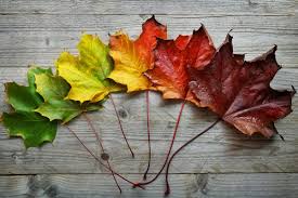 Maybe you would like to learn more about one of these? What Is Change Management A Guide To Organizational Transformation Cio