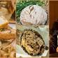 The Magical World of Sourdough, with Leah Guadagnoli event image