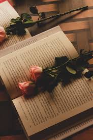 Books And Roses Book Aesthetic Book Photography Happy Moments