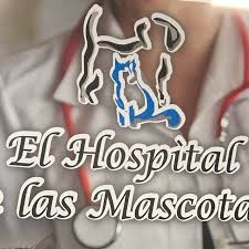 El Hospital de las Mascotas