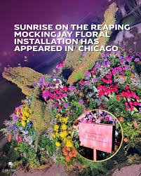 A Sunrise on the Reaping themed mockingjay floral installation has appeared in Millennium Park in Chicago! The display features a massive mockingjay sculpted in greenery, surrounded by vivid blooms, and a sign