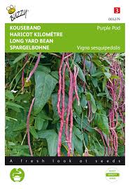 Image result for Vigna unguiculata