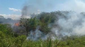 Perkembangan kebijakan perumahan nasional melalui perumahan. Lahan Perbukitan Di Kota Banjar Terbakar Diduga Dari Pembakaran Sampah Harapan Rakyat Online