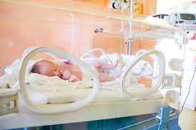 I M Pregnant With Twins And Feeling Miserable Twiniversity