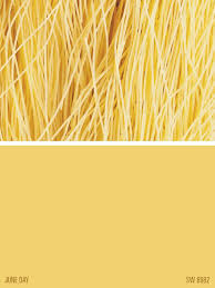 June Day Sw 6682 Yellow Paint Color Sherwin Williams Yellow Paint Colors Sherwin Williams Paint Colors Yellow Painting