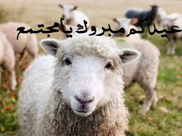 الصور منوعة مابين صور خرفان مرسومة وصور كاريكاتير خرفان وصور مضحكة تجمع روح الدعابة مع الخرفان بمناسبة حلول العيد. Ù…Ù„Ù Ø®Ø±ÙˆÙ Ø¹ÙŠØ¯ Ø§Ù„Ø£Ø¶Ø­Ù‰ 2020 Jpg ÙˆÙŠÙƒÙŠØ¨ÙŠØ¯ÙŠØ§