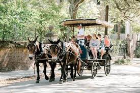 Don't just take a buggy ride, come see the real thing as we show you sights that will leave you breathless and tours that will. Pin On Vacation