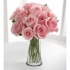 We did not find results for: Pin On A Rose Is A Rose