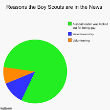 Reasons The Boy Scouts Are In The News Imgflip