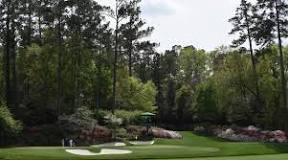 Image result for what trees are on augusta golf course