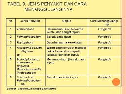 Check spelling or type a new query. Persiapan Areal Dan Penanaman Sawit Kegiatan Terdiri Atas