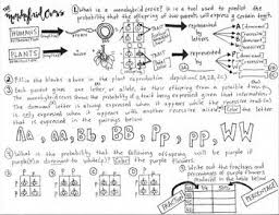 Monohybrid Cross Coloring Sheet Biology Classroom Teacher Favorite Things Teaching Biology