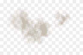 Flying Debris Png Images Pngwing White bird flying over the sea during daytime. flying debris png images pngwing