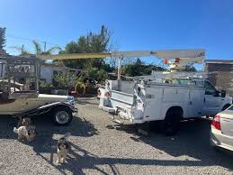 Image result for Ebony 1999 F450