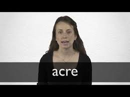 Now you know how to say acre in spanish. Spanish Translation Of Acre Collins English Spanish Dictionary